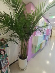 -丰联丽格医疗美容·联合丽格眼整形中心