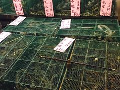 水产区-荔城生鲜盛宴(番禺旗舰店)