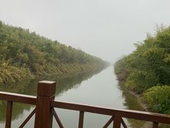 -黄海国家森林公园