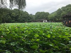 -兰亭风景区