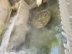 -阿姨食堂