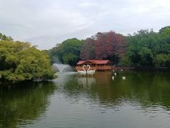 -深圳野生动物园