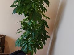 -丹江渔村(首都机场店)