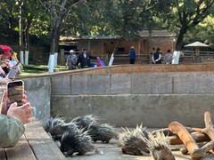 -昆明动物园