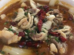 -焯明脆肉鲩世家(金沙洲店)