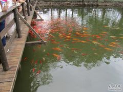 -溱湖国家湿地公园