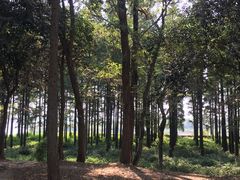 -湘鄂西苏区革命烈士陵园