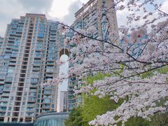 -西北湖绿化广场