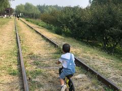 -永定河休闲森林公园