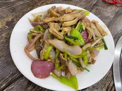 -力哥地道海南菜·联谊文昌鸡老店