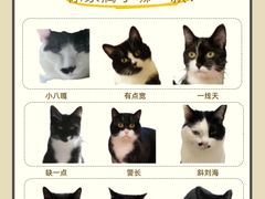 -申普宠物医院·眼科·心内科·影像科(普陀分院)