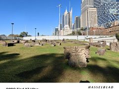 -麦考利夫人座椅