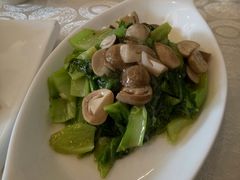 草菇盖菜-马凯餐厅(长椿街店)