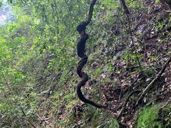 -百漈沟生态旅游景区