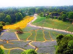 -保利石象湖景区