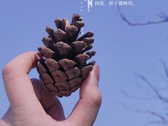 -幸福门