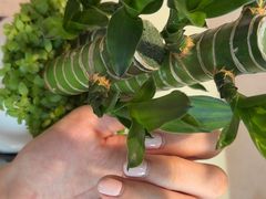 -海底捞火锅(杭州萧山宝龙广场店)