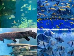 -大明湖海底世界