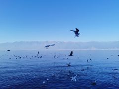 -大理洱海