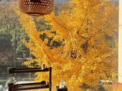 -川味观·鲜货火锅(西湖文化广场店)