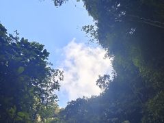 -海口火山口国家地质公园