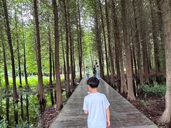 -溱湖国家湿地公园