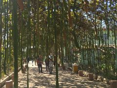 -北戴河集发农业梦想王国