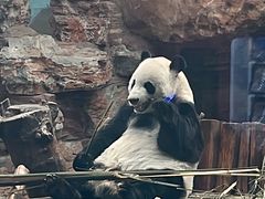 -石家庄市动物园