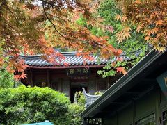 -十八棵（老龙井）御茶园(老龙井店)