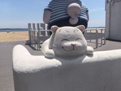 -秦皇岛新澳海底世界