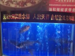-潇湘码头·鲜湘菜(清河店)