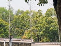 -青龙山国家森林公园