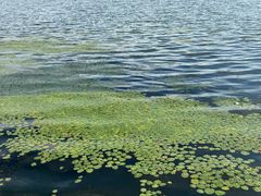 -长春市南湖公园