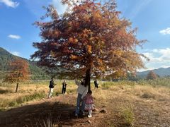 -溪口-滕头旅游景区