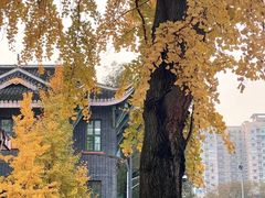 -四川大学(华西校区)