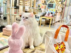 -小时光咖啡馆(开森度假森林店)