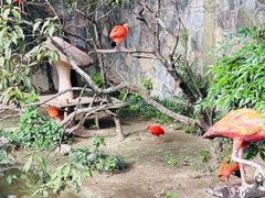 -上海野生动物园