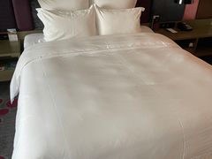 -南京禄口机场雅高铂尔曼大酒店