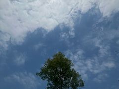 -中国天府农业博览园