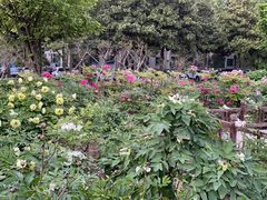 -河南省黄河迎宾馆