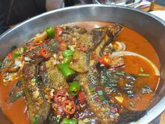 -红旗大食堂(君悦紫园店)