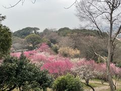 -无锡梅园公园