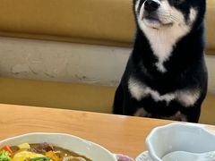 -柴の食堂·日式家庭料理·熊之肆(大学路店)