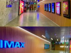 -卢米埃影城(合生广场IMAX店)