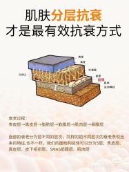 点击看大图 -玛莲朵·海菲秀冰珀科