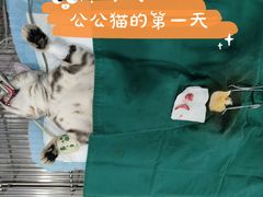 -荔康动物医院(康王北路店)