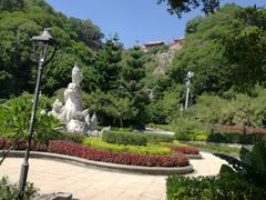 -金鸡山公园
