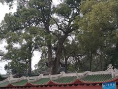 -南华寺素食馆(南华禅寺店)