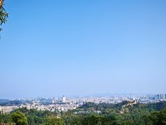 -大屏嶂森林公园
