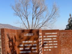 -白水寺森林公园